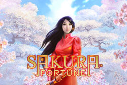 Sakura Fortune