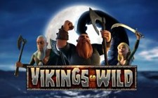 Vikings Go Wild