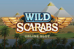 Wild Scarabs